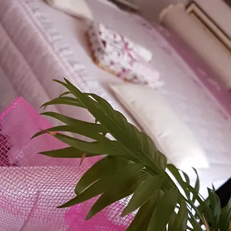La Delice Hotel *